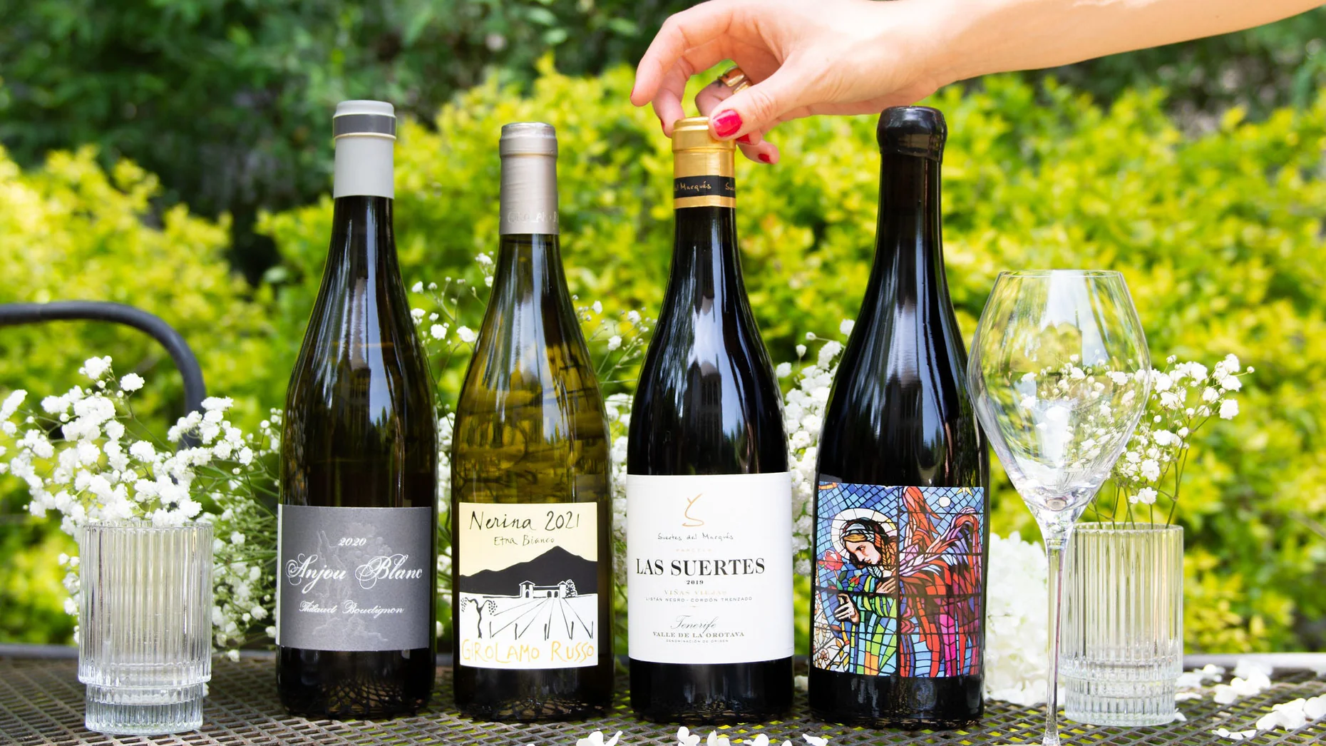 Curated Wines With A Soul